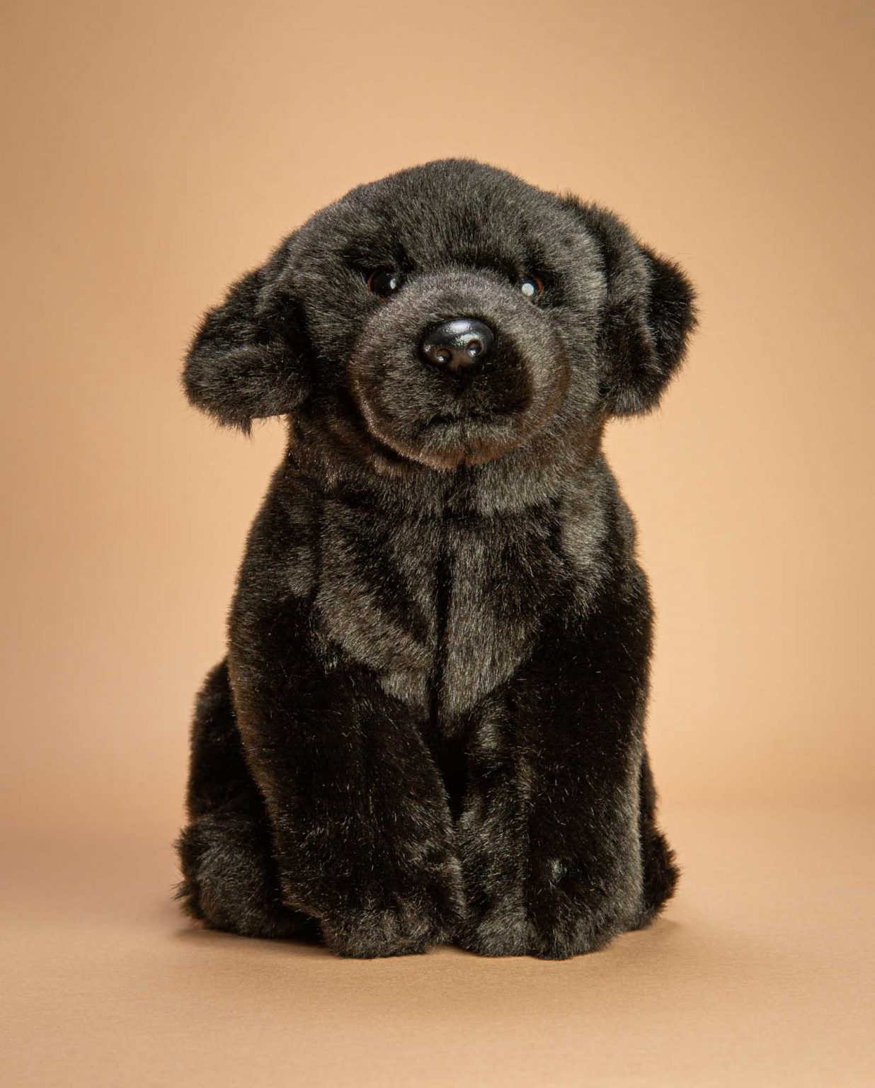 Black Labrador Soft toy gift - Send a Cuddly