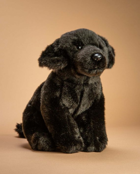 Black Labrador Soft toy gift - Send a Cuddly