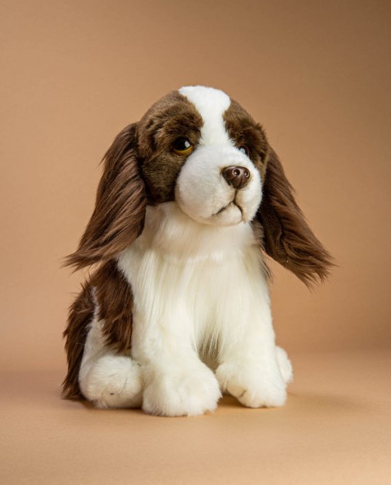 English Springer Spaniel soft toy gift - Send a Cuddly