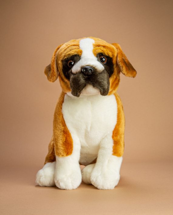 Boxer Soft Toy Gift - Send a Cuddly