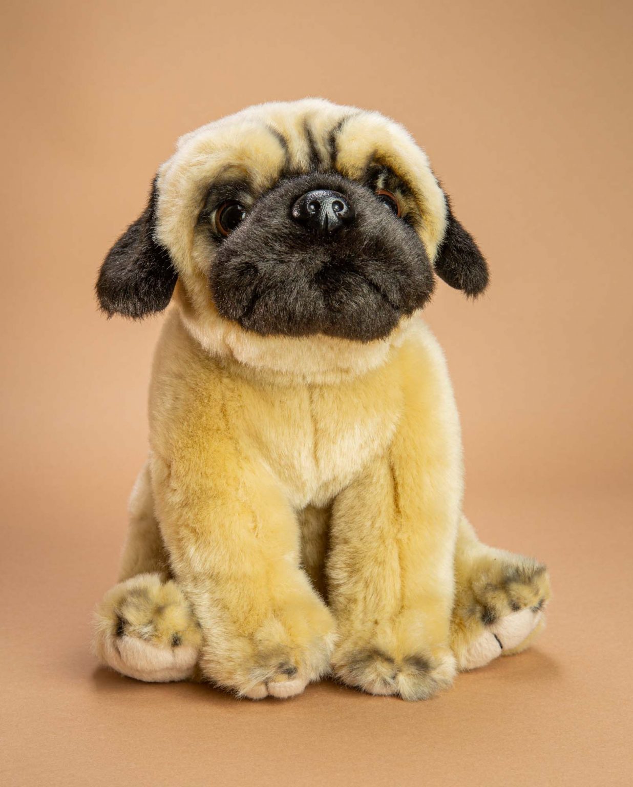 Pug dog soft toy gift - Send a Cuddly