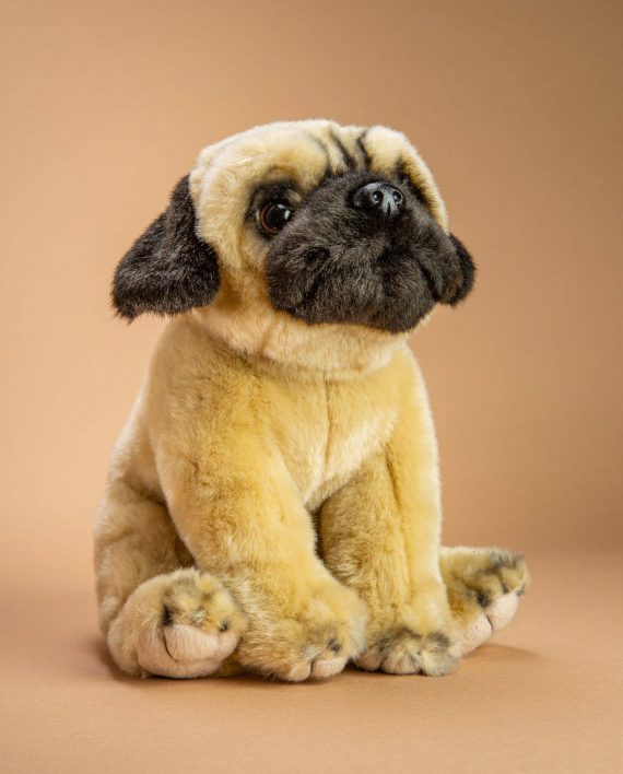 Pug dog soft toy gift - Send a Cuddly
