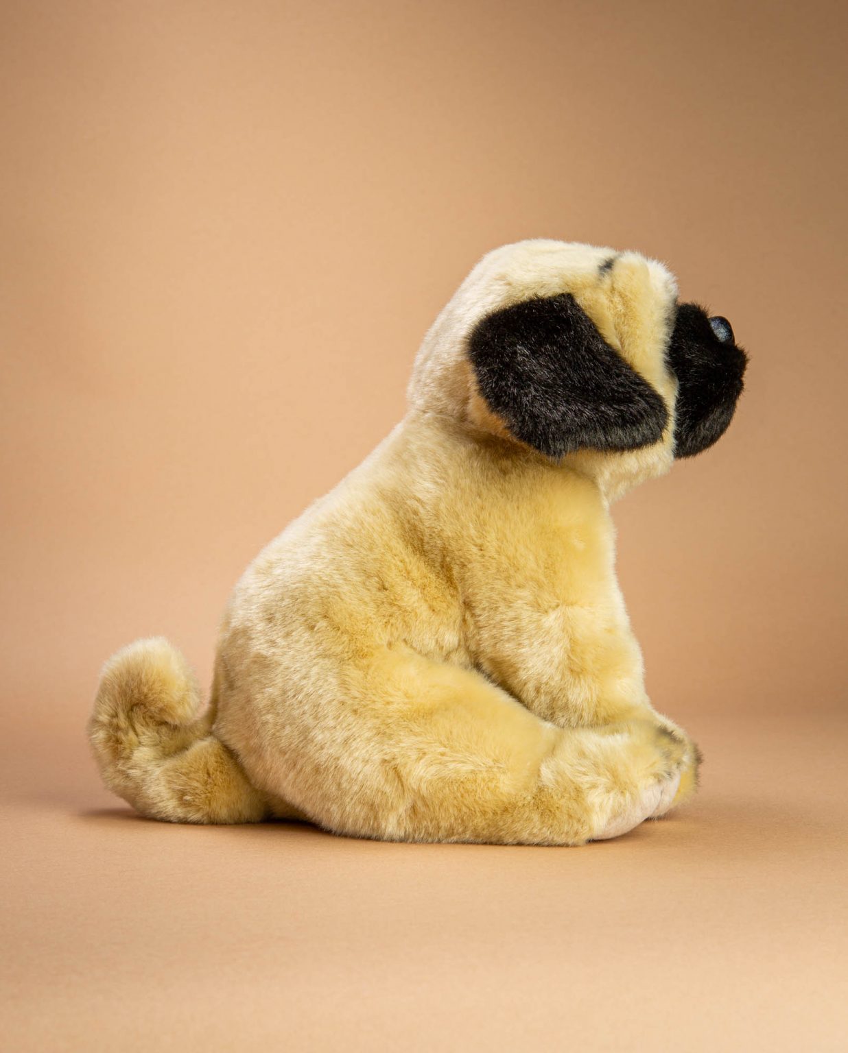 Pug dog soft toy gift - Send a Cuddly