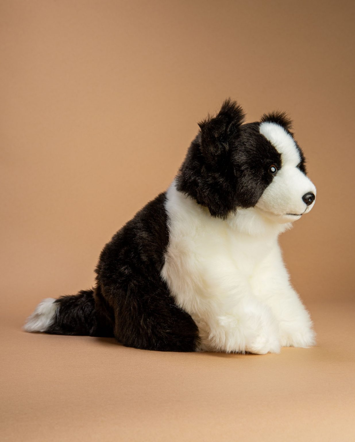 Border collie dog soft toy gift - Send a Cuddly