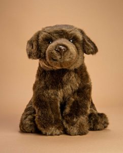 Chocolate Labrador Soft Toy Gift - Send a Cuddly