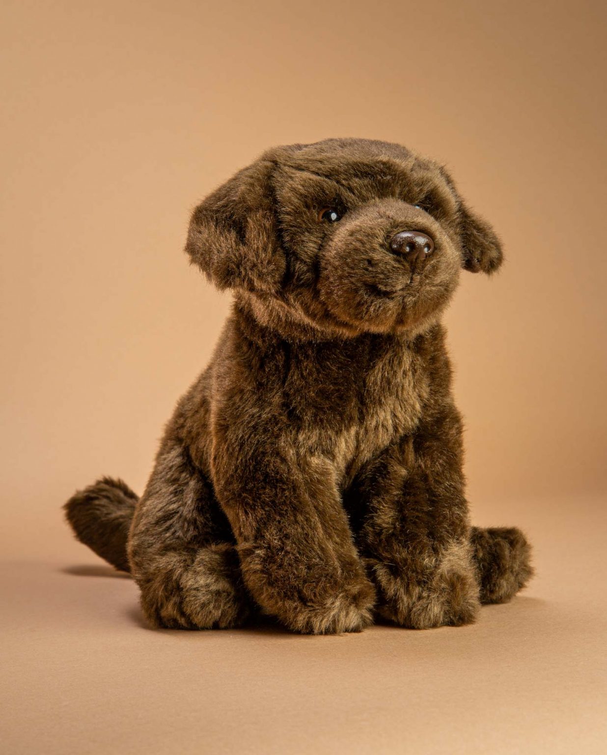 Chocolate Labrador Soft Toy Gift - Send a Cuddly