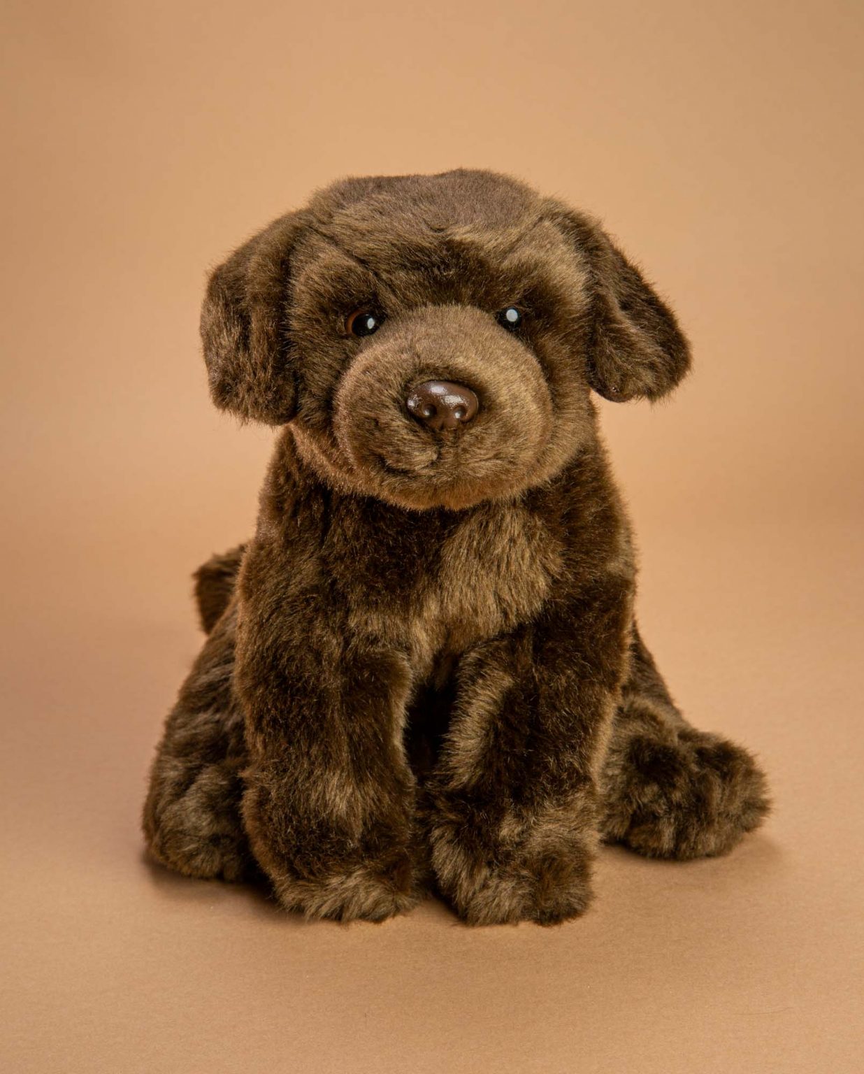 Chocolate Labrador Soft Toy Gift - Send a Cuddly