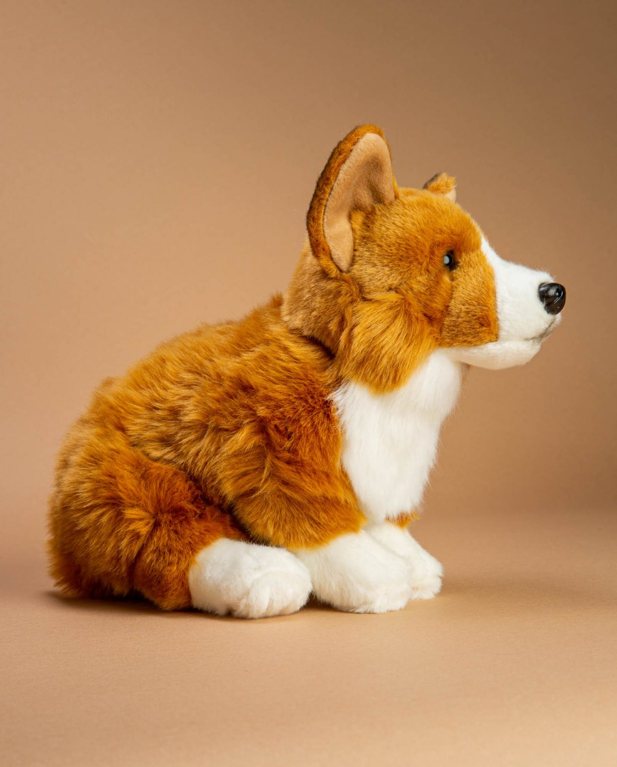 Classic Corgi Soft toy gift - Send a Cuddly