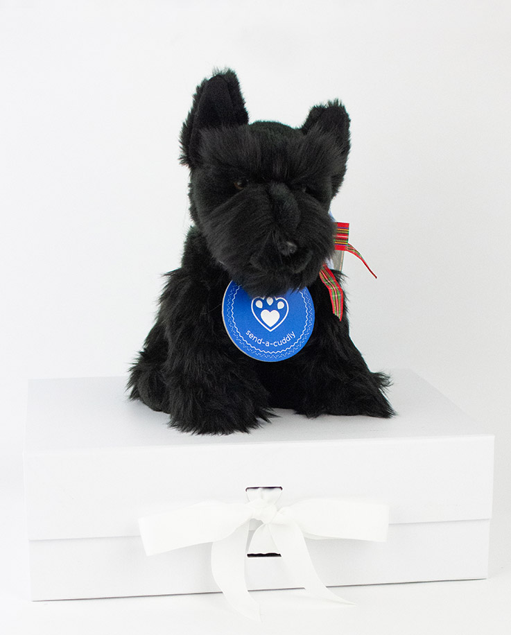 Smart Scottish Terrier Soft Toy Dog Soft Toy Gifts Send a Cuddly