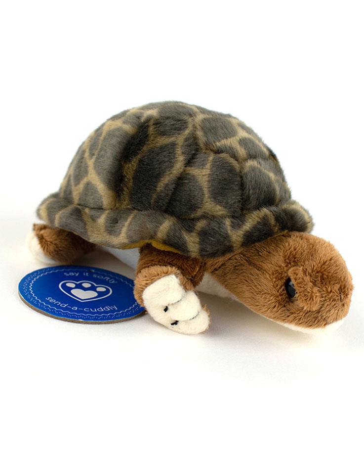 tortoise cuddly toy