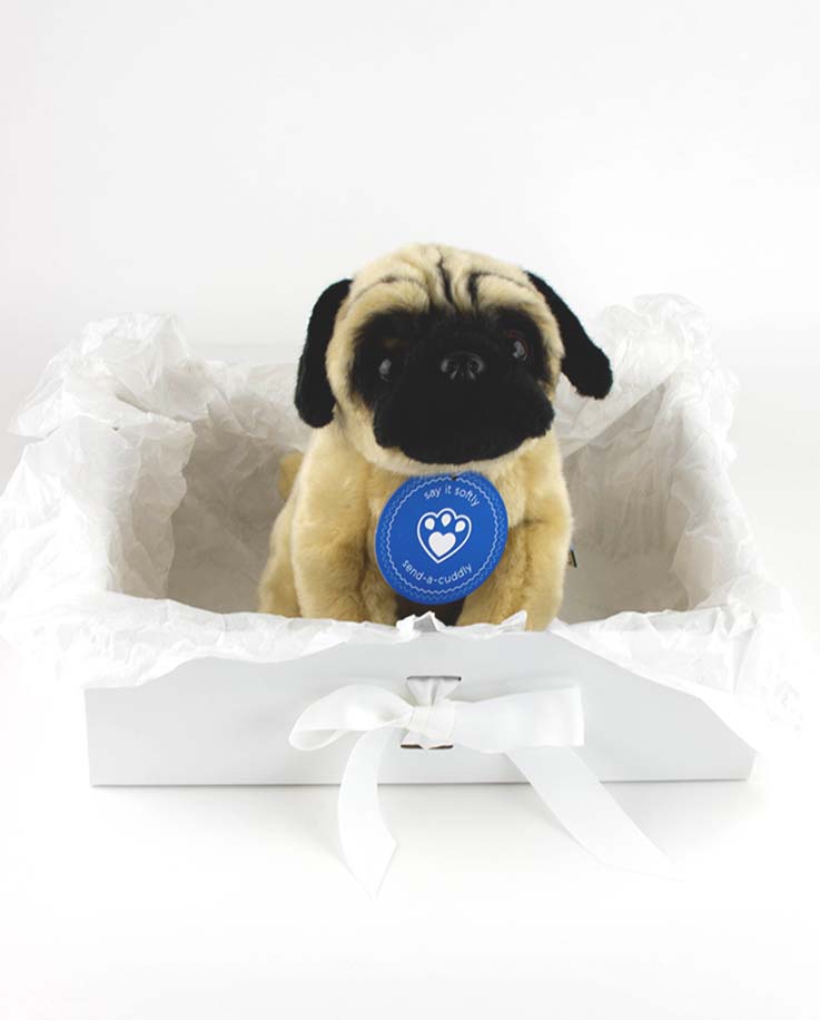 Pugtastic Pug Soft Toy Doggy Gift Idea Send a Cuddly