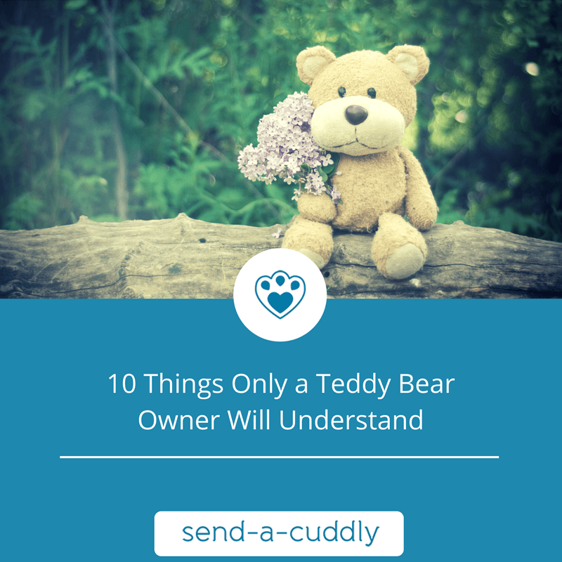 10 Things Only A Teddy Bear Owner Will Understand - Send A Cuddly