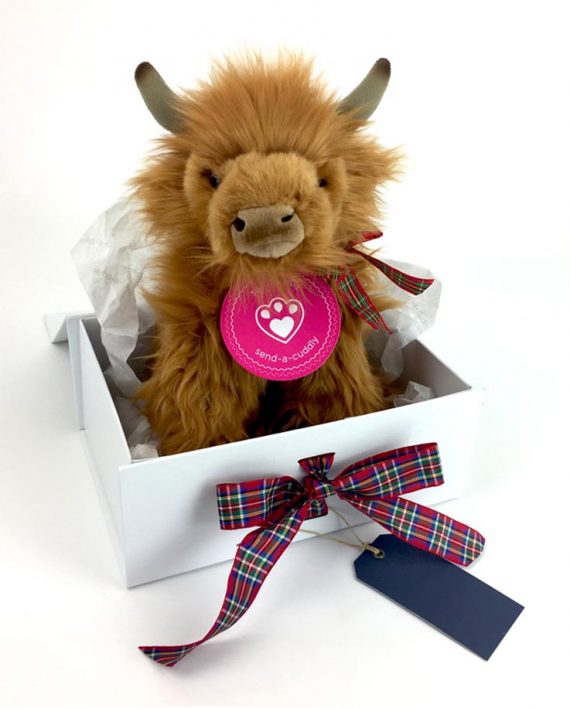 Handmade Highland Cow Scottish Soft Toy Gift Send a Cuddly