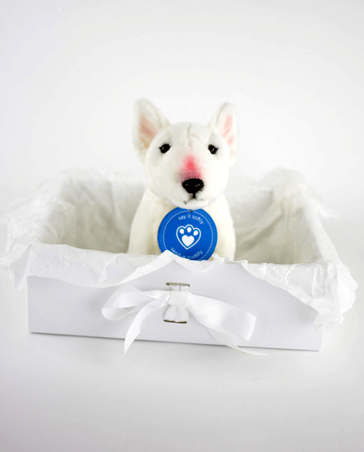 bull terrier toy