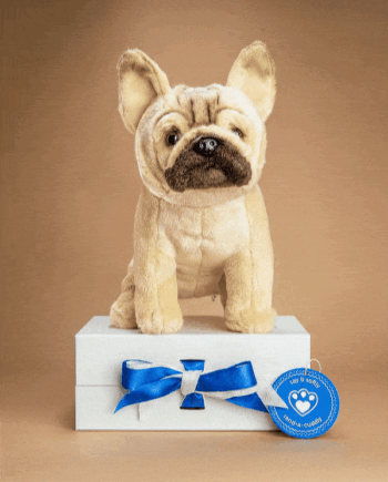 French Bulldog Soft Toy
