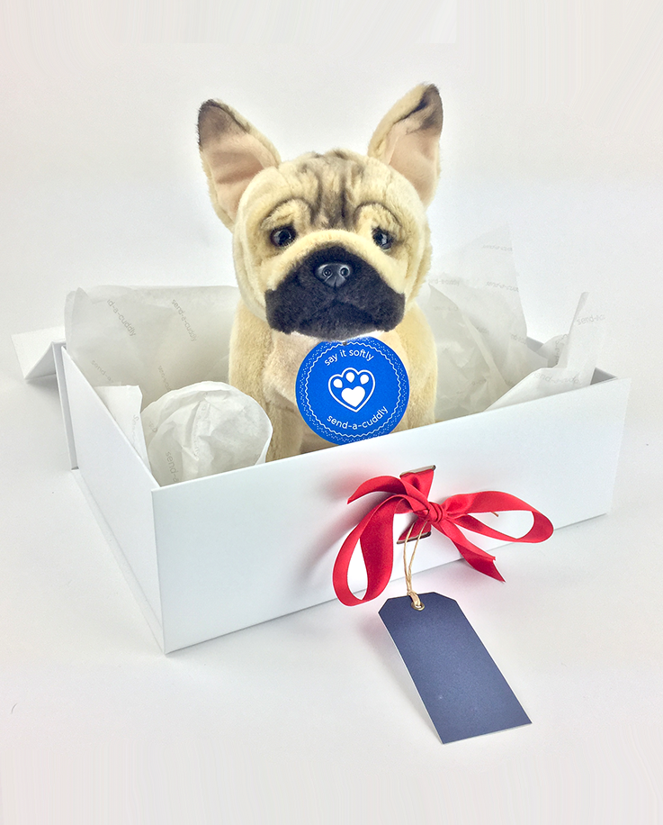 French Bulldog Soft Toy | French Bulldog Gifts | Send a Cuddly