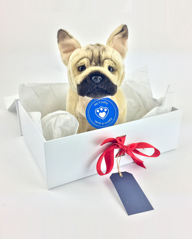 French Bulldog Gifts Canada / Top 10 Gifts For True French Bulldog Lovers - Pawsify : French