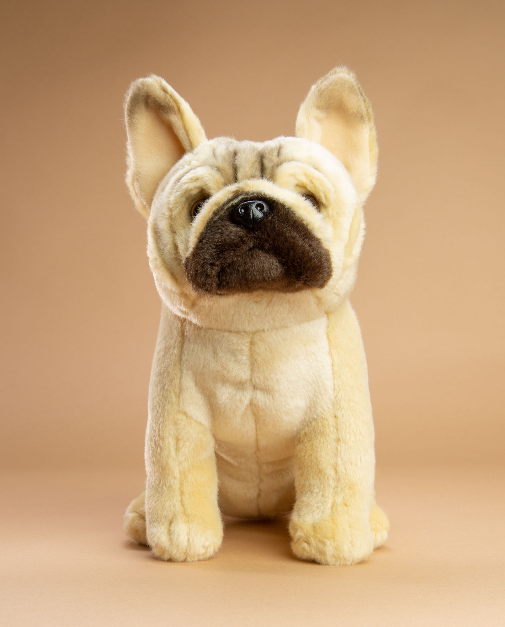 French Bulldog Soft Toy French Bulldog Gifts Send a Cuddly