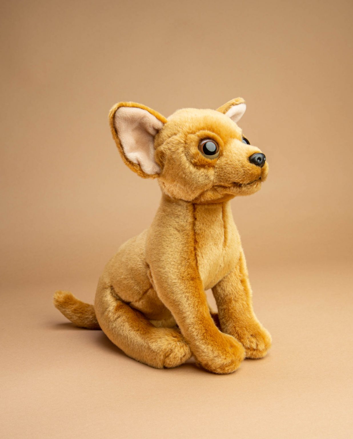 Chihuahua dog soft toy gift - Send a Cuddly