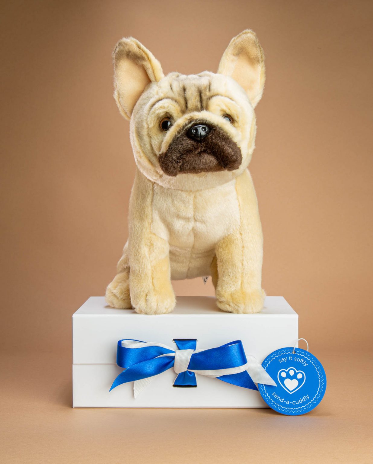 French bulldog dog soft toy gift - Send a Cuddly