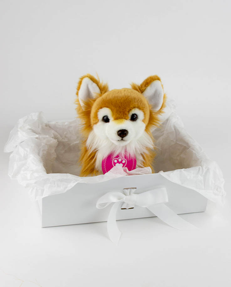 long haired chihuahua plush