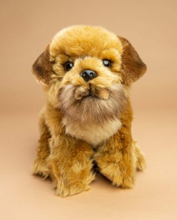 Border Terrier dog soft toy gift - Send a Cuddly