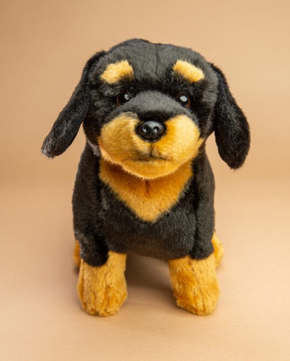 Black and Tan Dachshund Dog soft toy gift - Send a Cuddlya