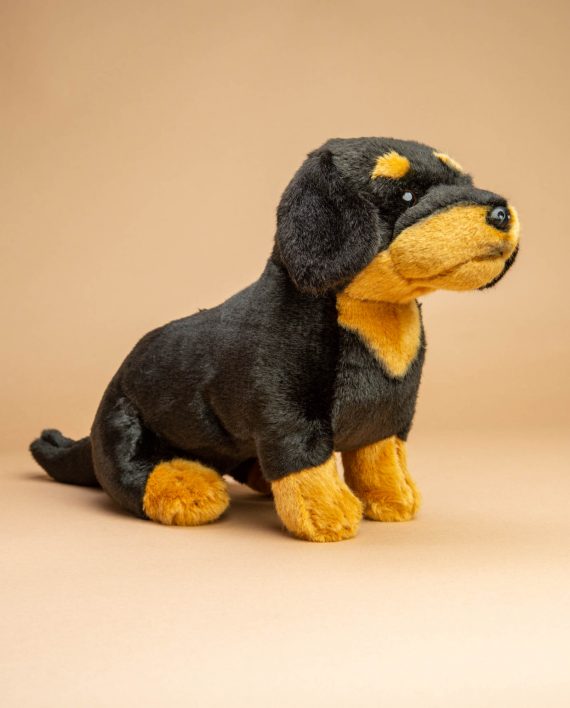 Black and Tan Dachshund Dog soft toy gift - Send a Cuddly