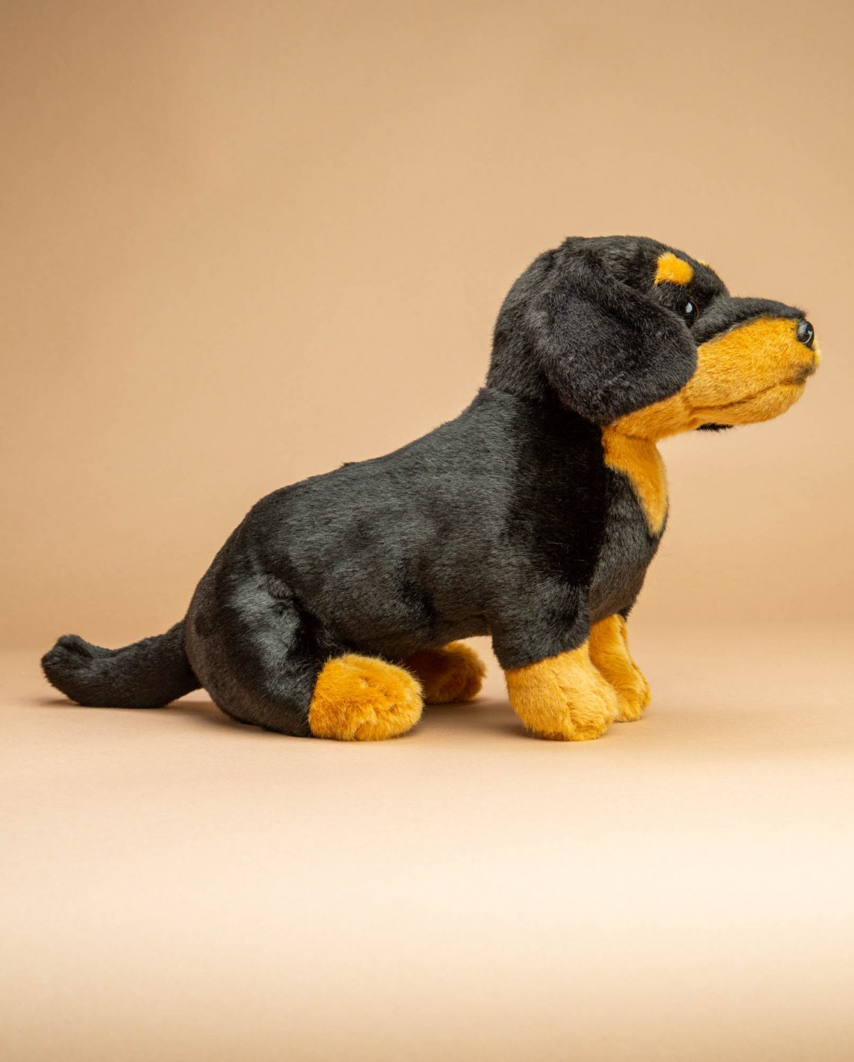 Black and Tan Dachshund Dog soft toy gift - Send a Cuddly