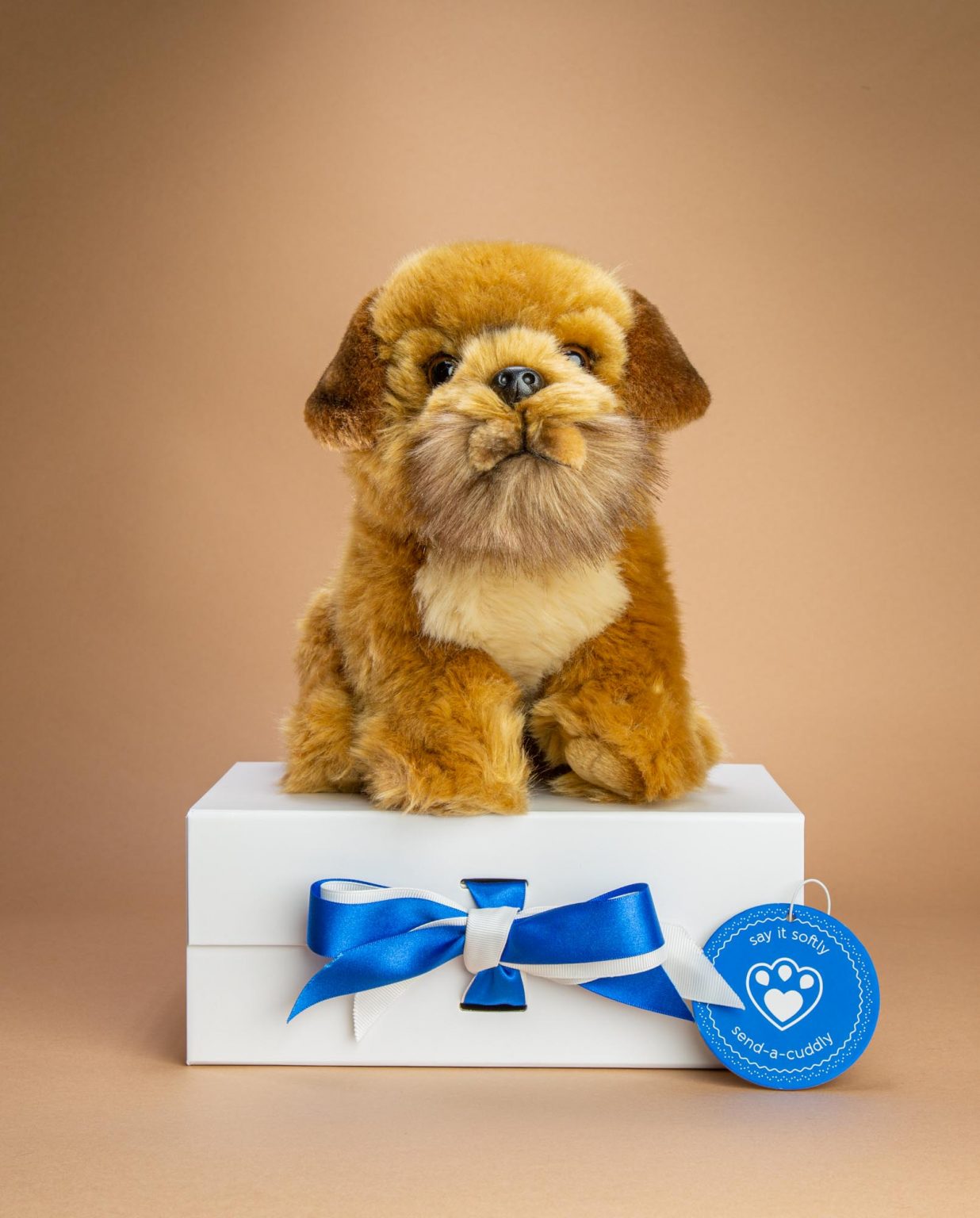 Border Terrier dog soft toy gift - Send a Cuddly