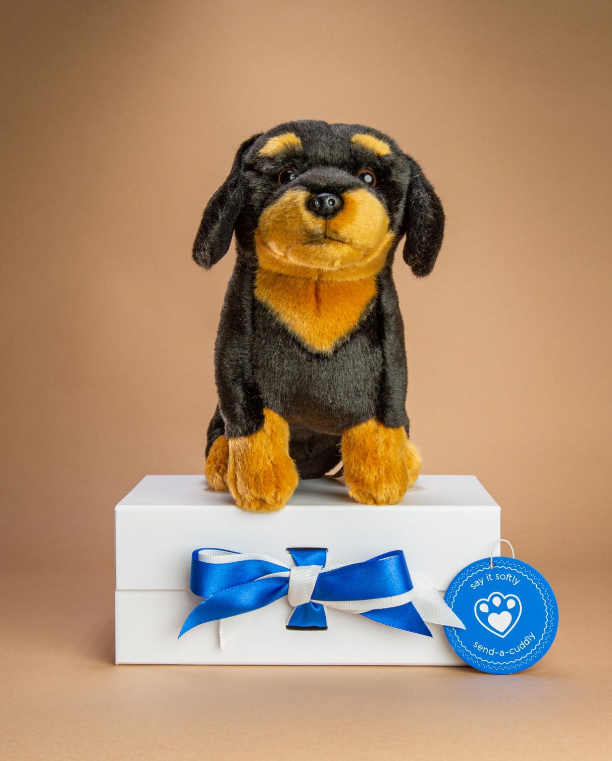 Black and Tan Dachshund Dog soft toy gift - Send a Cuddly