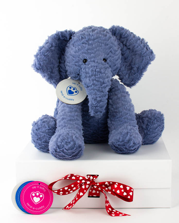 Jellycat Elephant Gift Idea Jellycat Fuddlewuddle Elephant Delivery