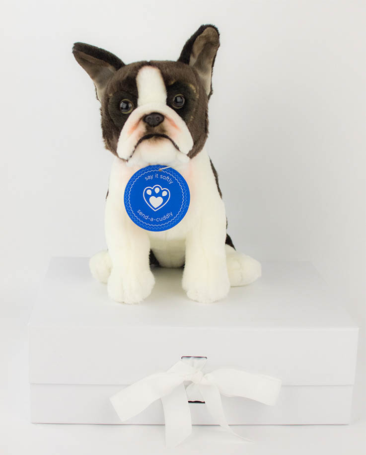boston terrier soft toy