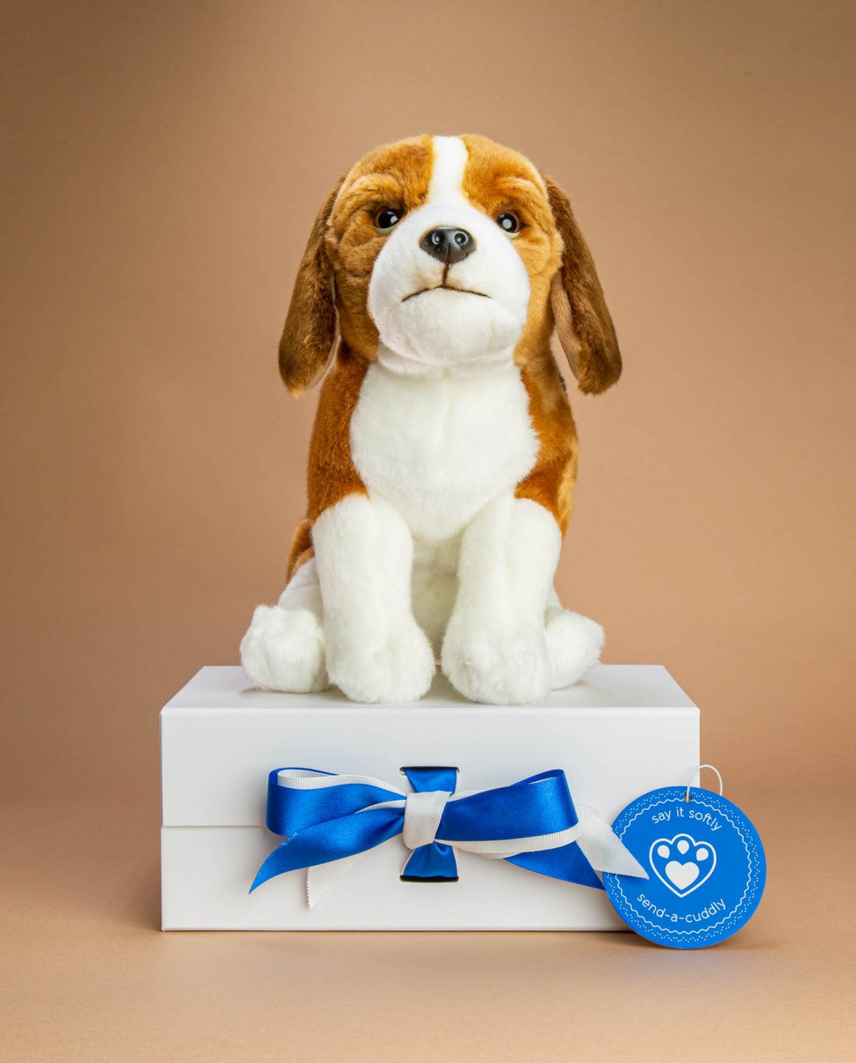 Beagle Dog soft toy gift - Send a Cuddly