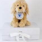 cockapoo soft toy dog