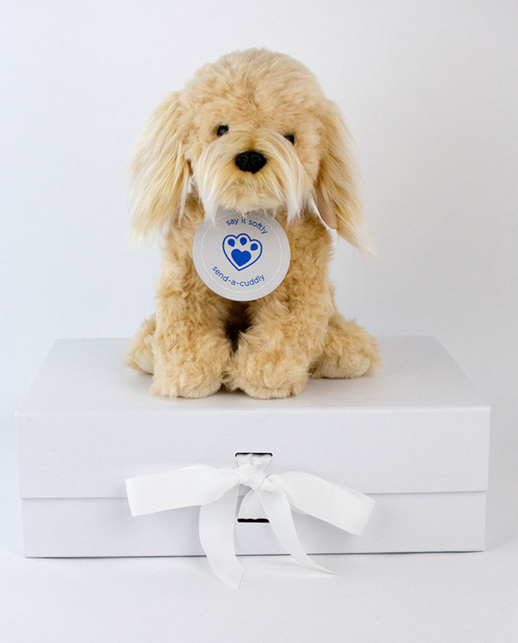 cockapoo soft toy