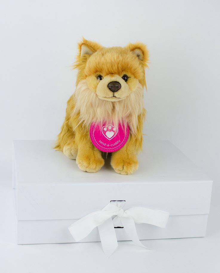 pomeranian soft toy