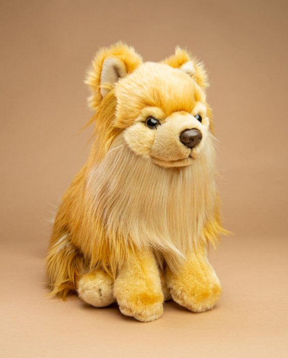 Pomeranian dog soft toy gift - Send a Cuddly