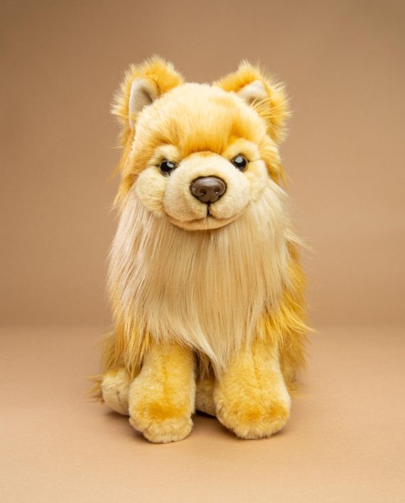 Pomeranian dog soft toy gift - Send a Cuddly