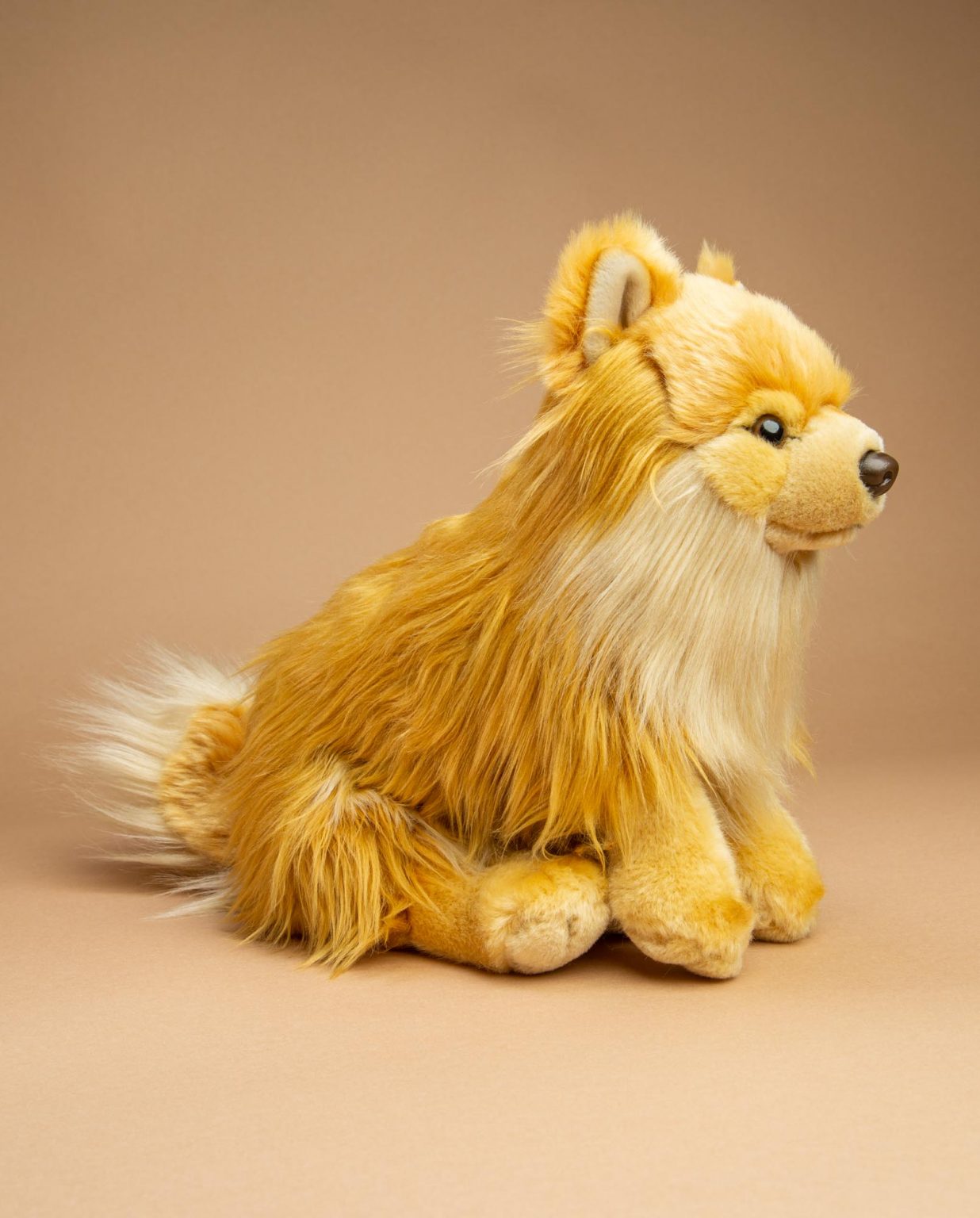 Pomeranian dog soft toy gift - Send a Cuddly