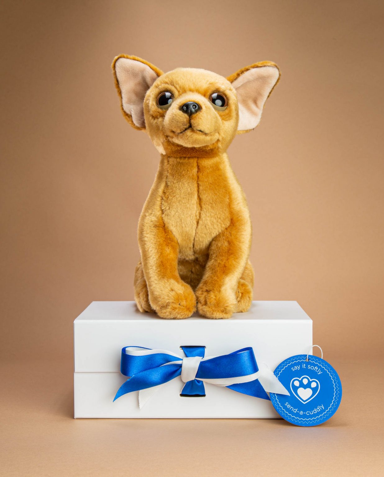 Chihuahua dog soft toy gift - Send a Cuddly