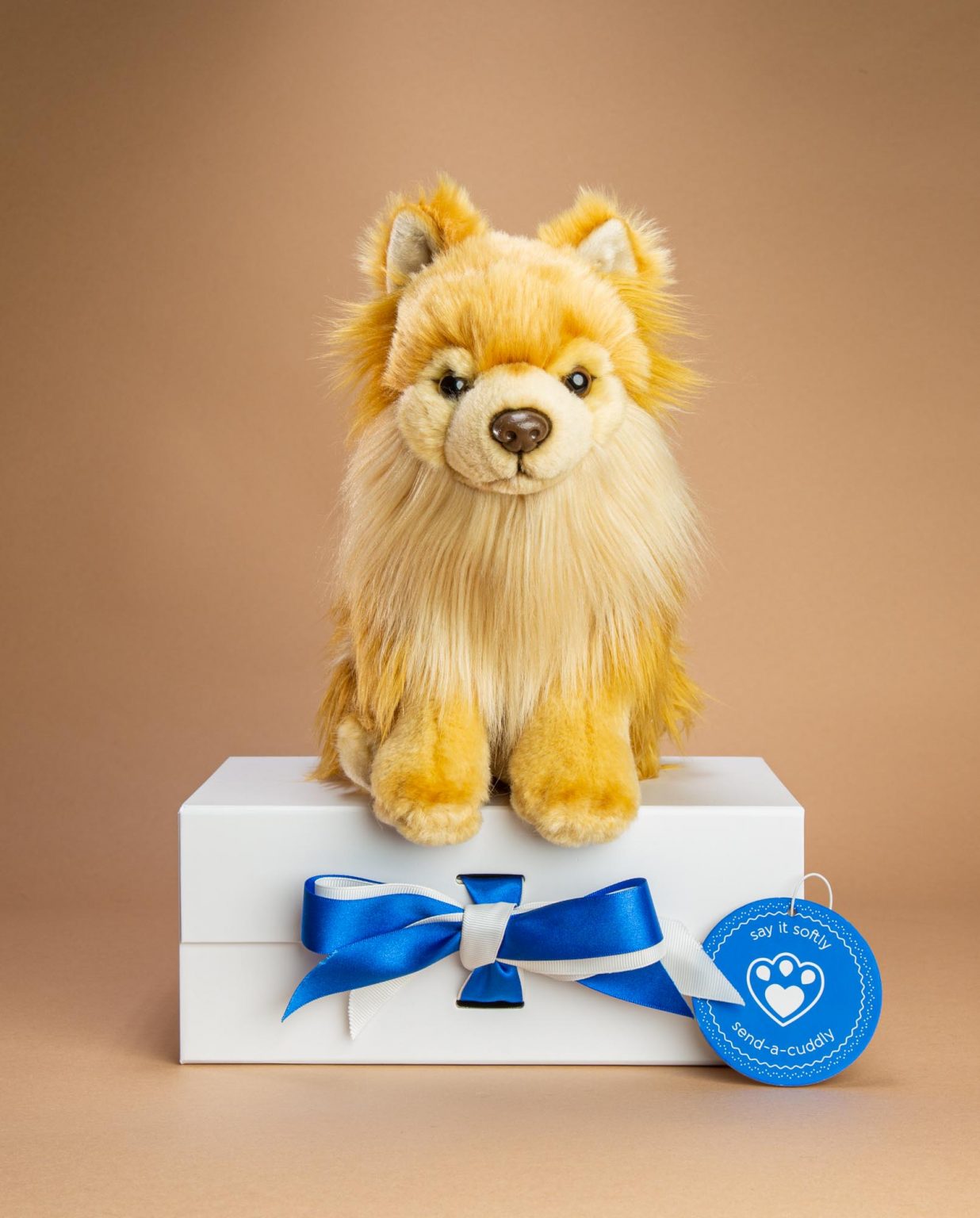 Pomeranian dog soft toy gift - Send a Cuddly