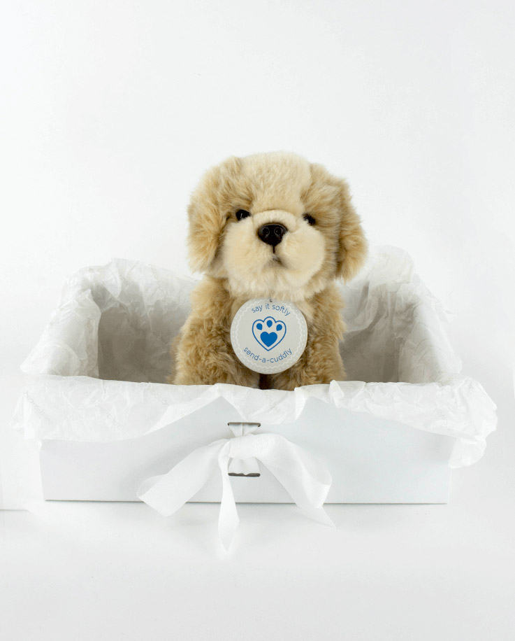 shih tzu cuddly toy uk
