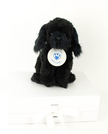 black cockapoo teddy