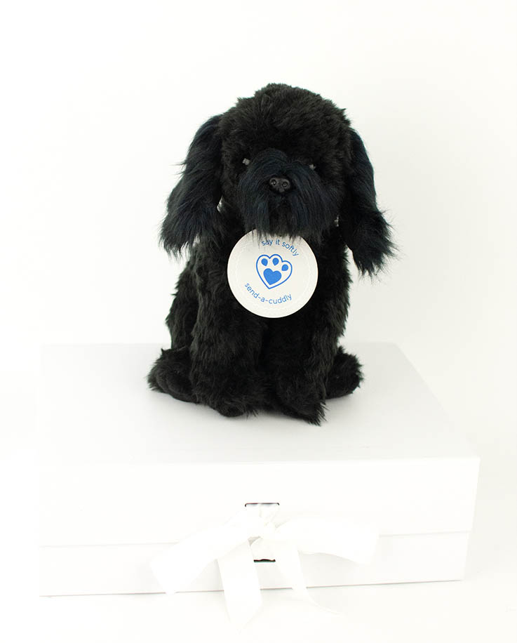 cockapoo soft toy dog