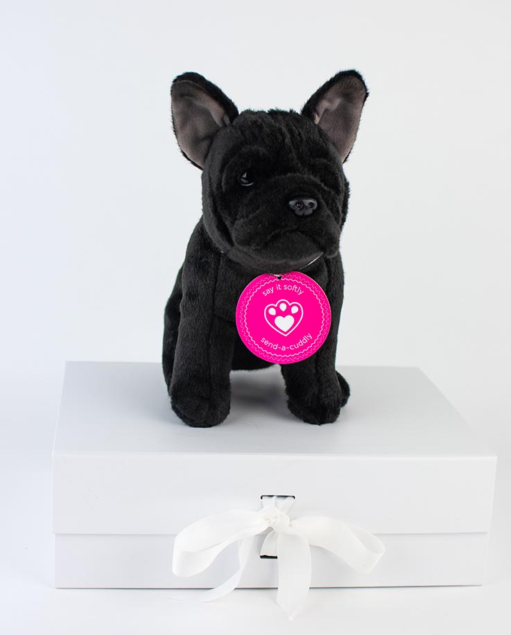 Black French Bulldog Soft Toy French Bulldog Gifts Send A Cuddly