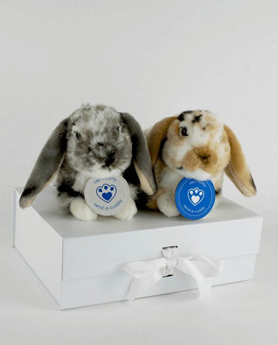 Lop Eared Rabbits gifts