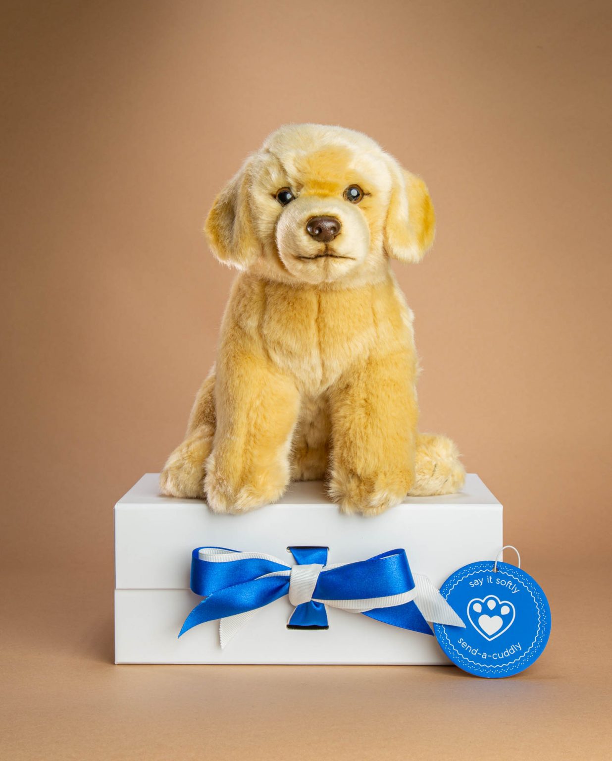 Yellow Labrador dog soft toy gift - Send a Cuddly