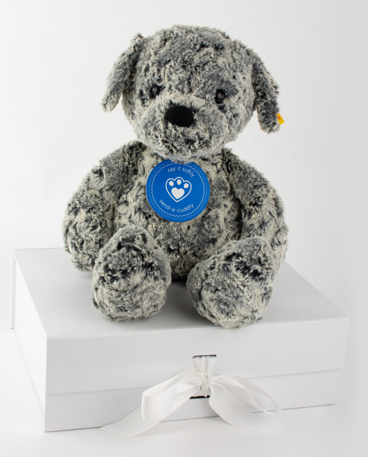 Steiff Taffy Dog Soft Cuddly Friends Steiff Soft Toy Dog Send a Cuddly