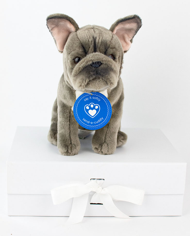 French Bulldog Gifts Canada / Top 10 Gifts For True French Bulldog